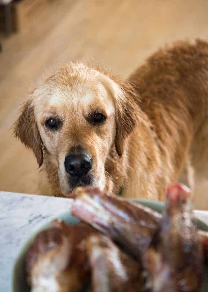 Dozer lamb shanks