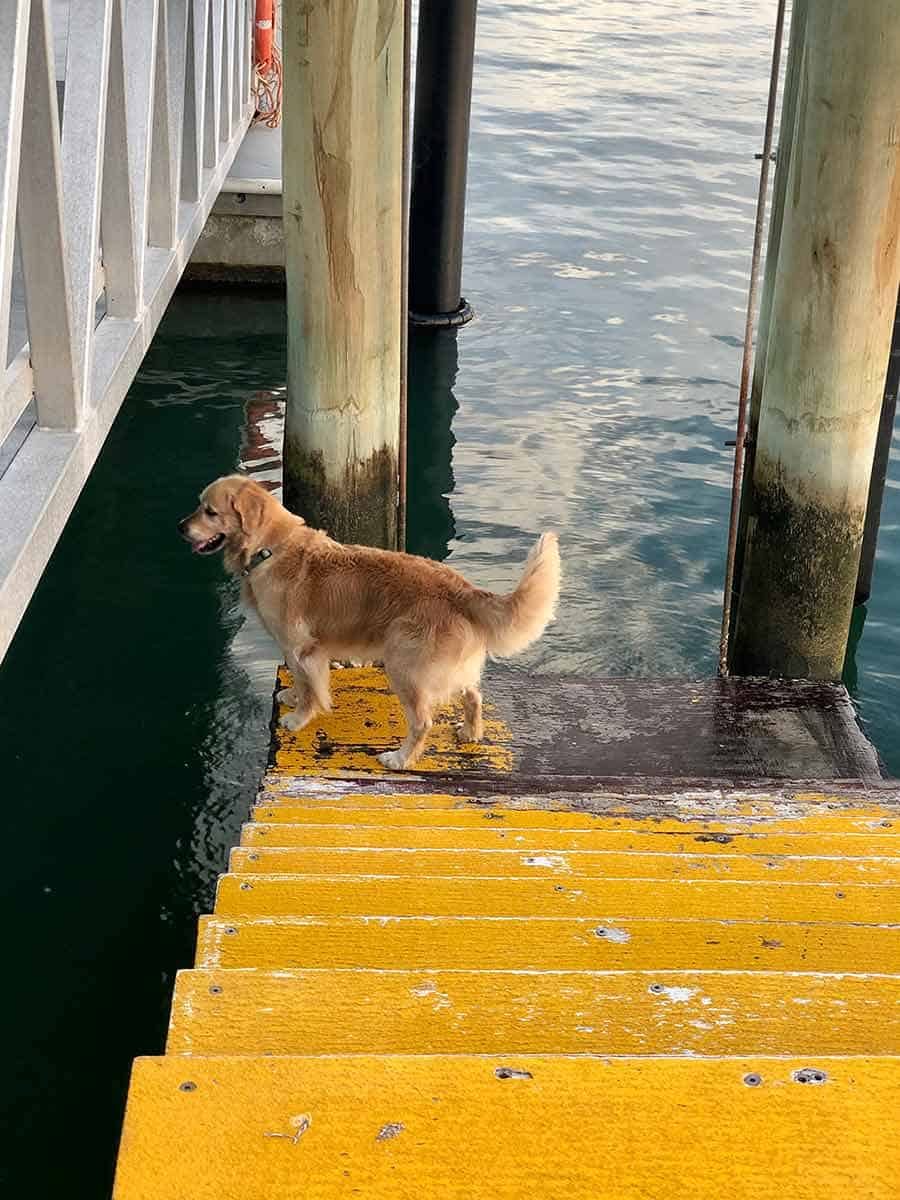 Dozer jetty Newport