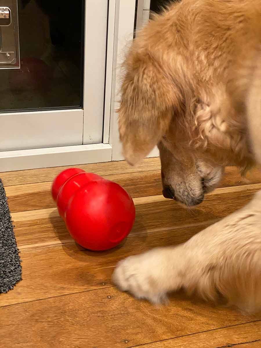 Dozer Kong toy